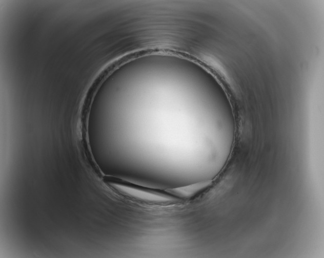X0000089680924200707051604