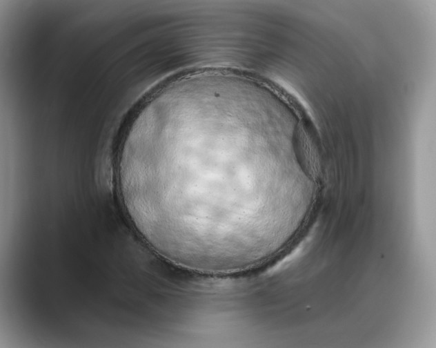 X0000089680925200707051604