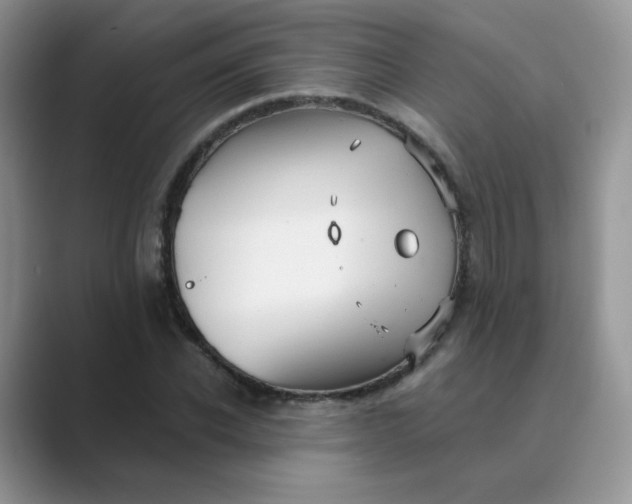 X0000089680926200707051604