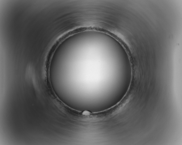 X0000089680927200707051604