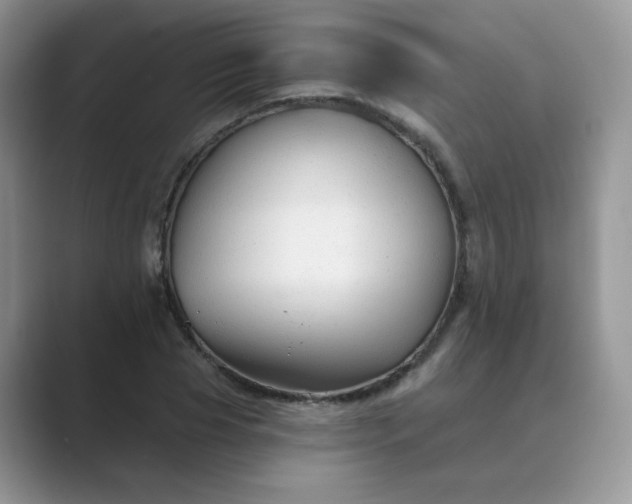 X0000089680929200707051604