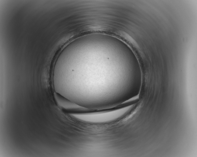X0000089680930200707051604