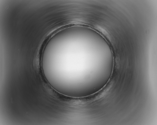 X0000089680931200707051604