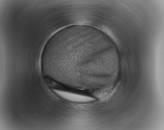 X0000089680932200707051604