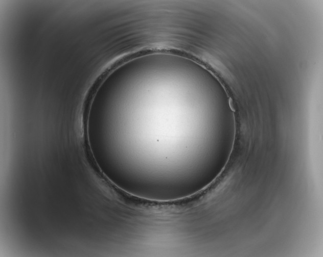 X0000089680934200707051604