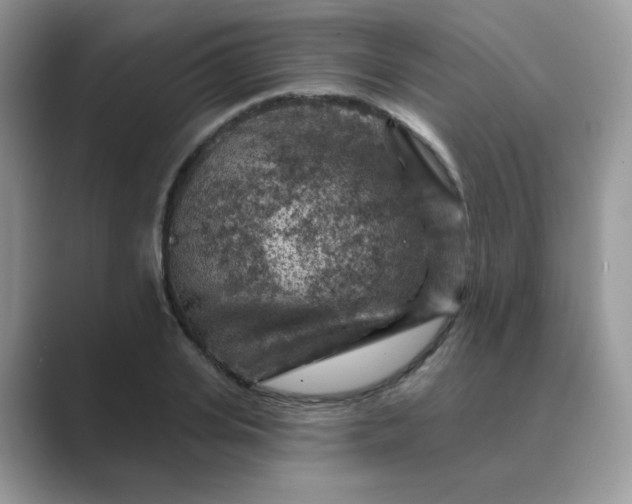 X0000089680935200707051604