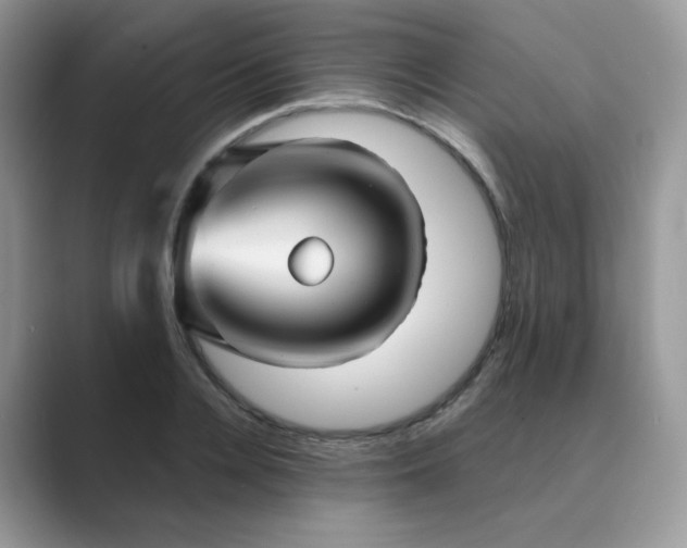 X0000089680936200707051604
