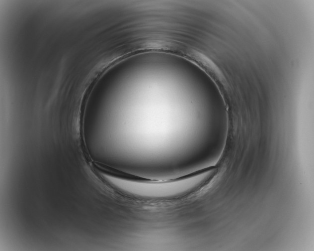 X0000089680938200707051604