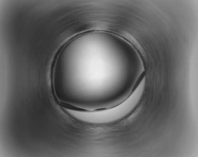 X0000089680939200707051604