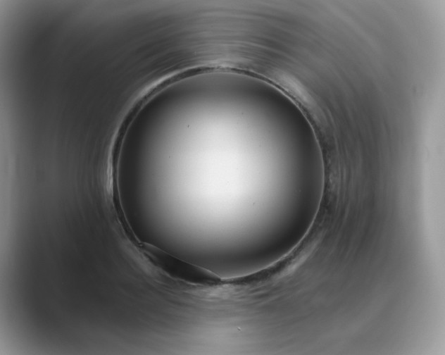 X0000089680940200707051604