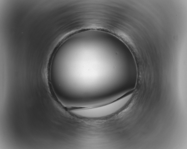 X0000089680942200707051604