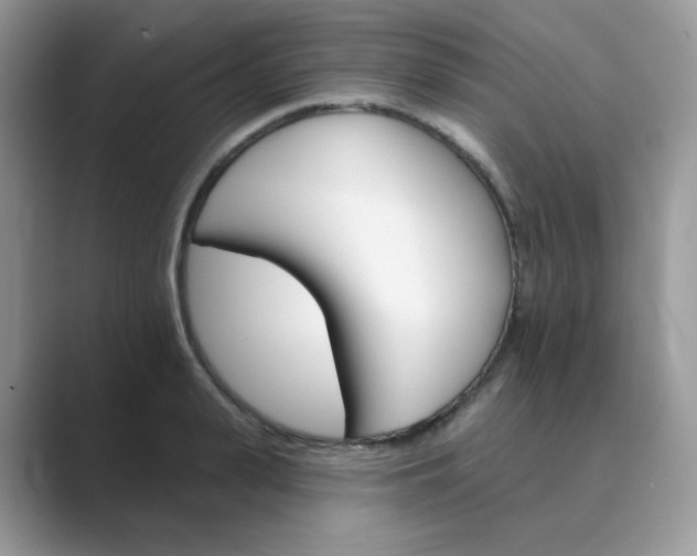 X0000089680943200707051604