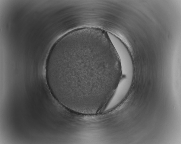 X0000089680944200707051604