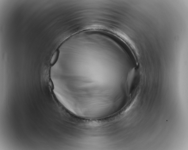 X0000089680945200707051604