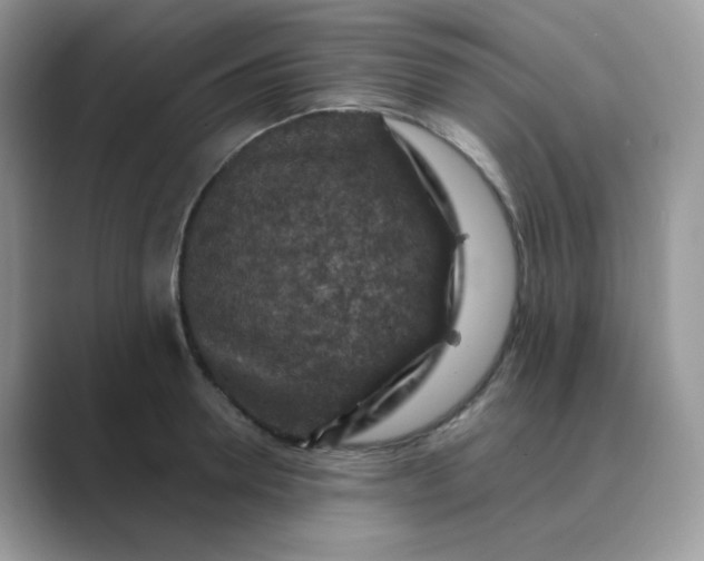 X0000089680946200707051604