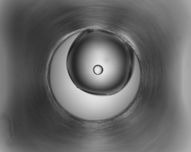 X0000089680948200707051604