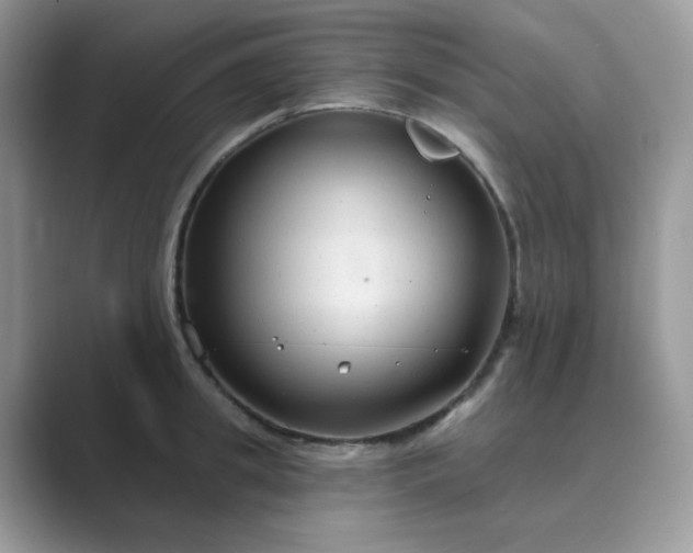 X0000089680949200707051604