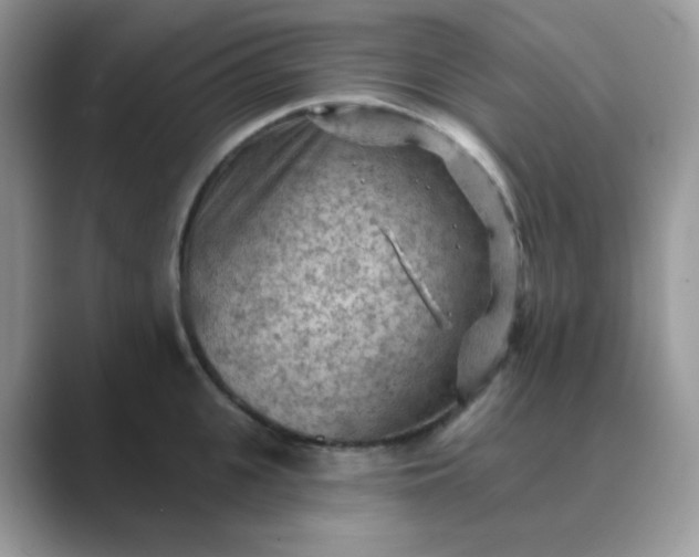 X0000089680951200707051604