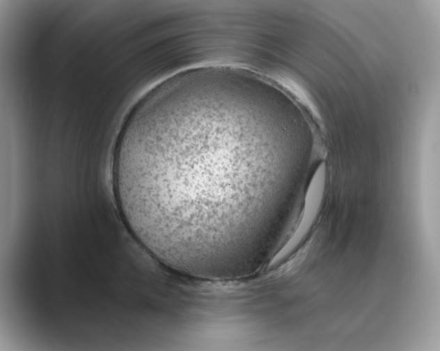 X0000089680952200707051604