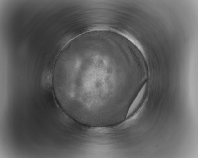 X0000089680953200707051604