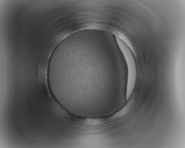 X0000089680954200707051604