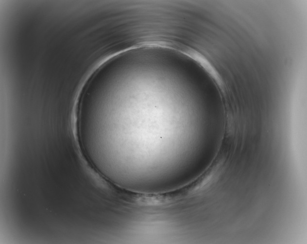 X0000089680955200707051604