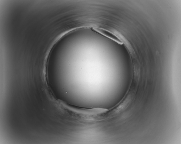 X0000089680956200707051604