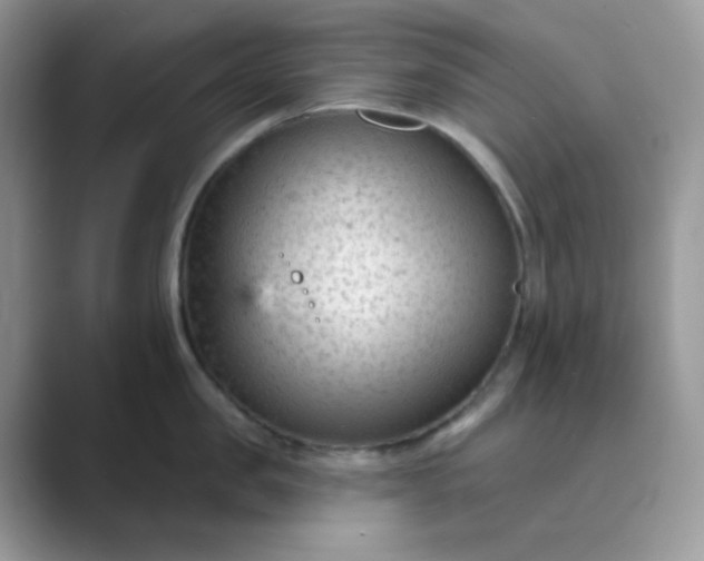 X0000089680957200707051604