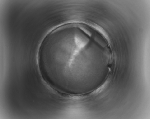 X0000089680958200707051604