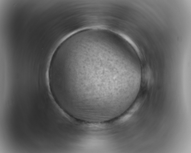 X0000089680959200707051604