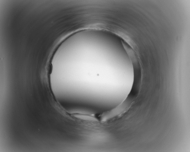 X0000089680960200707051604