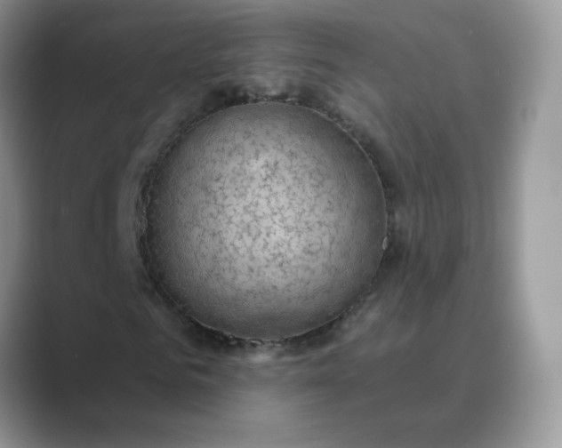 X0000089680961200707051603