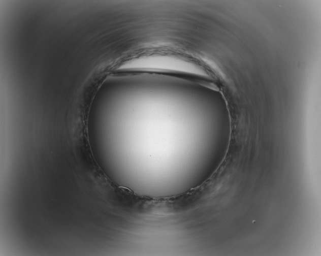 X0000089680967200707051603