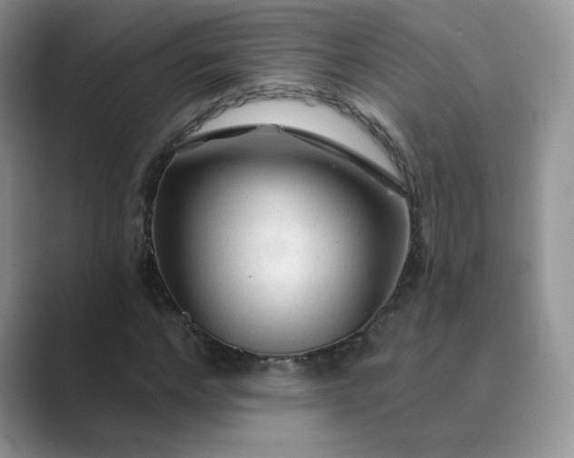 X0000089680968200707051603