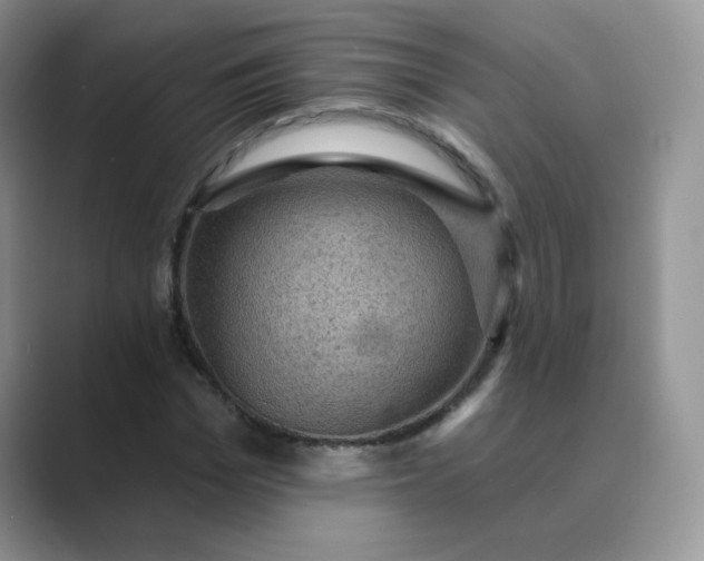 X0000089680969200707051603
