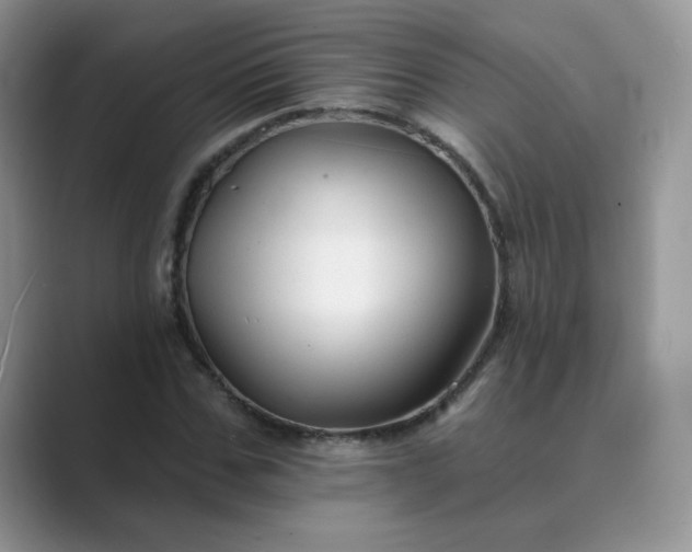 X0000089680971200707051603