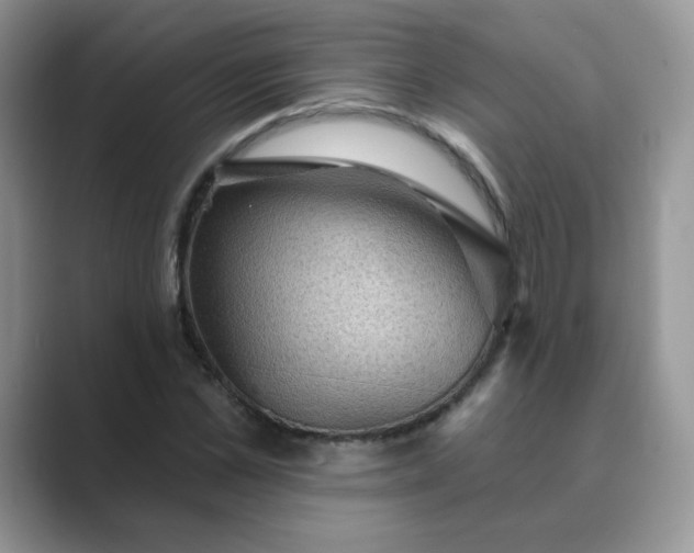 X0000089680973200707051603