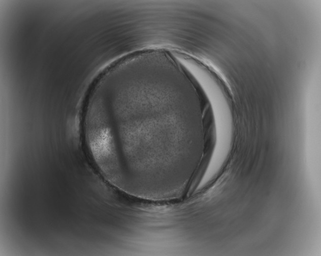 X0000089680975200707051603