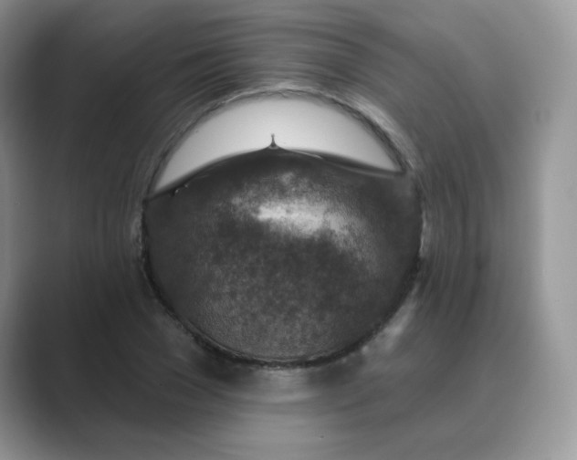 X0000089680977200707051603