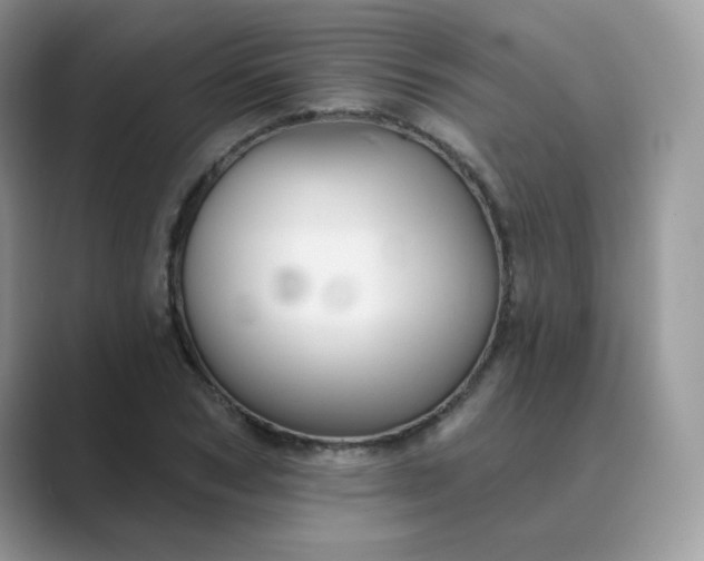 X0000089680978200707051603