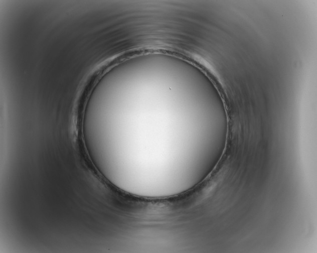 X0000089680979200707051603