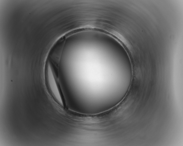 X0000089680980200707051603