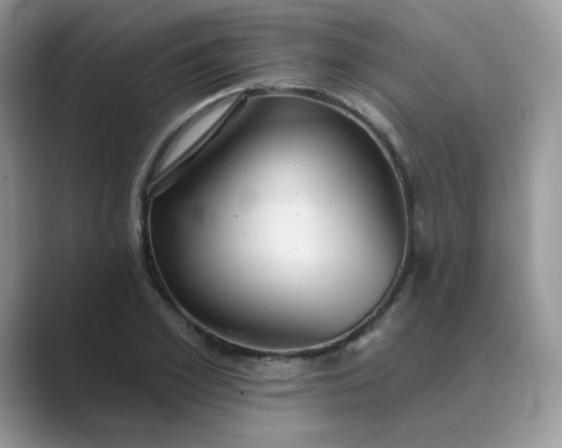 X0000089680981200707051603