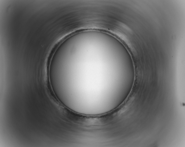 X0000089680982200707051603