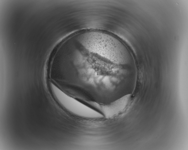 X0000089680983200707051603