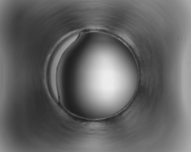 X0000089680984200707051603
