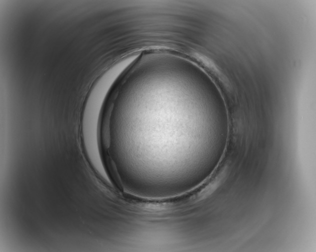 X0000089680985200707051603