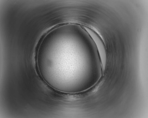 X0000089680987200707051603