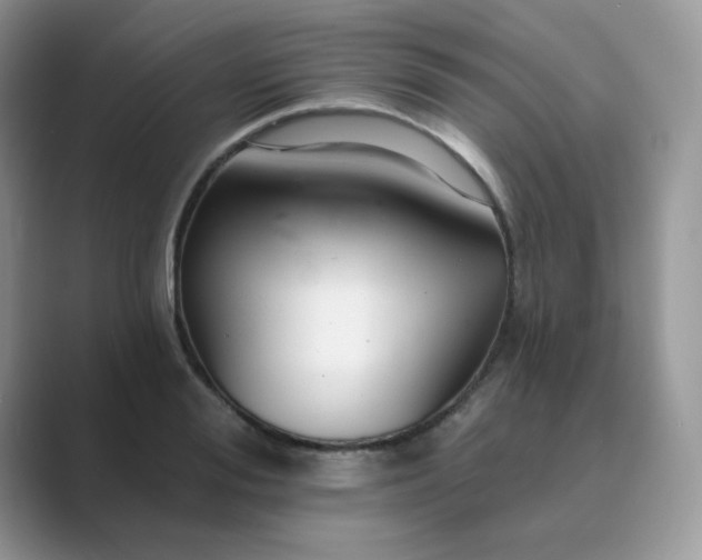 X0000089680988200707051603