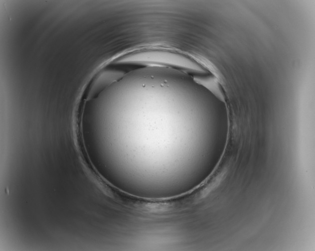 X0000089680989200707051603